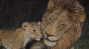 FMX 2025 Releases Final Program Update, Teaser Shorts Series