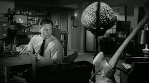 The Myth of the Split Brain