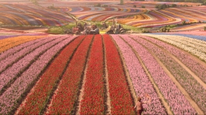 Nathan Crowley Goes Big and Practical on ‘Wicked’ Production Design